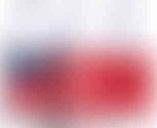 Vital Pet Life - Fish Oil for Dogs - Healthy Skin & Coat, Salmon, Pollock, All Natural Supplement for Pets