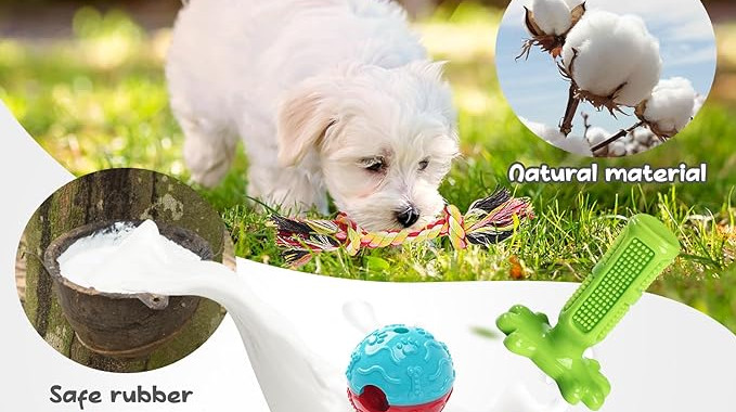 KIPRITII 25 Pack Dog Chew Toys for Puppy - Puppy Teething Chew Toys for Boredom, Pet Dog Toothbrush Chew Toys with Rope Toys, Treat Balls and Dog Squeaky Toy for Puppy and Small Dogs