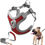 Thumbnail: Dog Harness with Leash Set - No Pull Adjustable Step-in Dog Collars