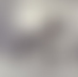 The Fascinating History of the French Bulldog