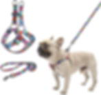 BEAUTYZOO No Pull Dog Harness and Leash Set for Small Medium & Large Dogs