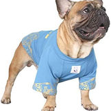 The Ultimate Guide to Caring for Your French Bulldog: Essential Tips for a Happy and Healthy Life