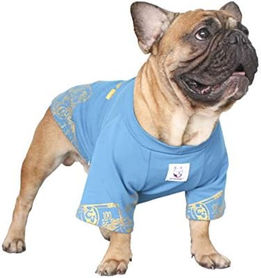 The Ultimate Guide to Caring for Your French Bulldog: Essential Tips for a Happy and Healthy Life
