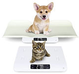 Puppy Scale