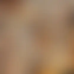 How to bond with your French bulldog or Frenchie?