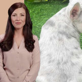 Smiling woman in a light blouse standing beside her merle French Bulldog on vibrant green grass, sharing a peaceful moment of companionship and love under the sun pure Frenchie magic!