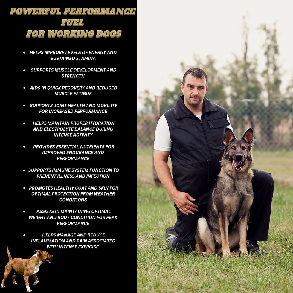 Thumbnail: Dog Protein Supplement Hench Range Jayfuel 