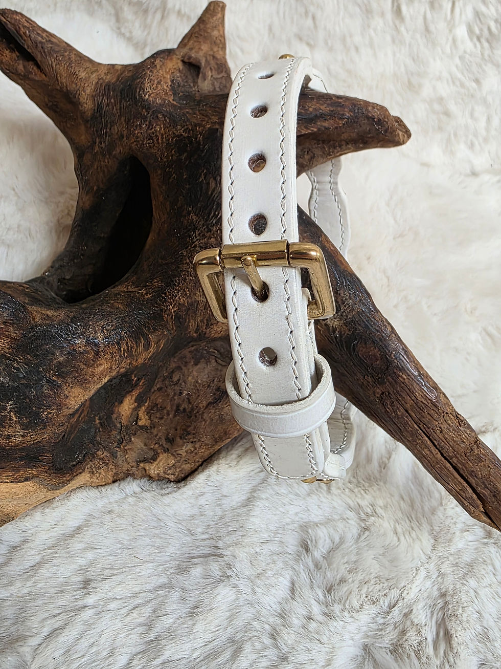 Thumbnail: White Celtic Heritage Wave Staffordshire Bull Terrier show collar and lead set
