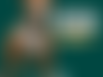 Breed Info: The Staffordshire Bull Terrier