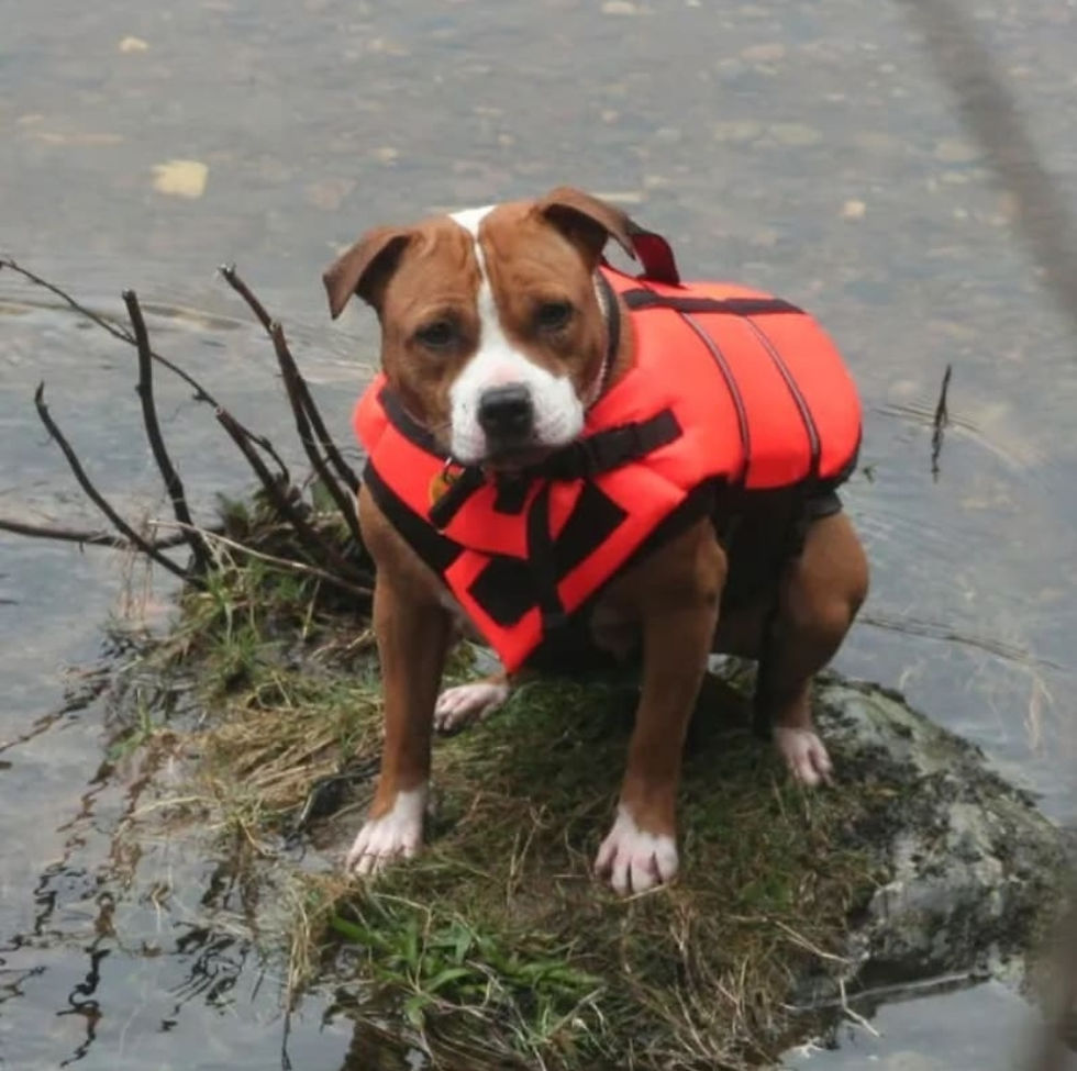 Always Use A life Jacket In Deeper Water. There is many a sad story I could tell about even the best of swimmers without one.