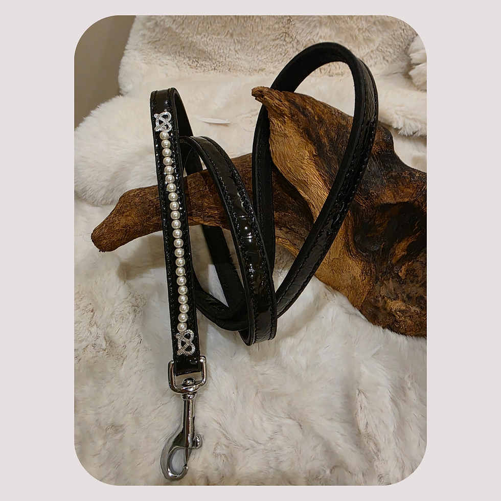 Thumbnail: Premium Hench Range Staffordshire Bull Terrier Show Collar & Lead Set – Exclusiv