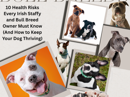 10 Health Risks Every Irish Staffy and Bull Breed Owner Must Know (And How to Keep Your Dog Thriving)