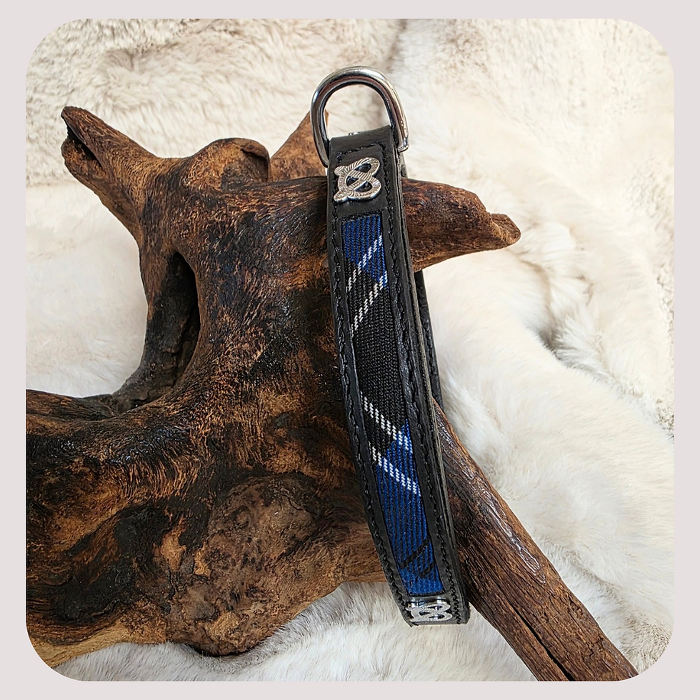 Thumbnail: Tartan Limited Edition Staffordshire Bull Terrier Show Collar & Lead Set


