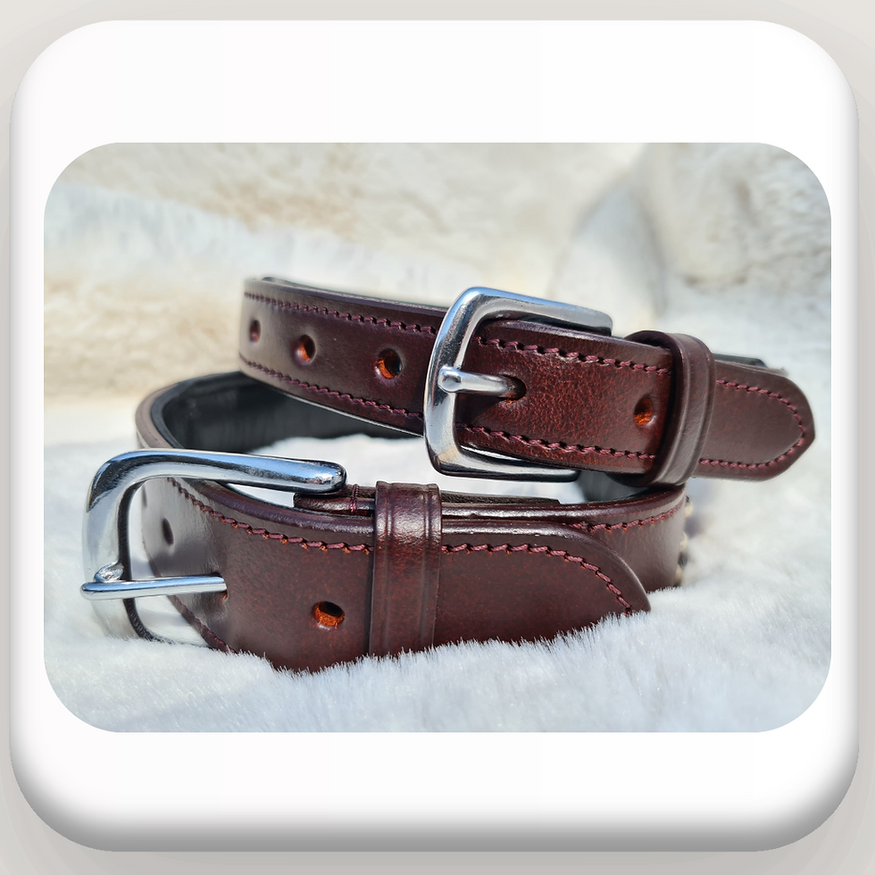 Thumbnail: Luxury Tartan Full Grain Harness Leather Collar & Lead Set

