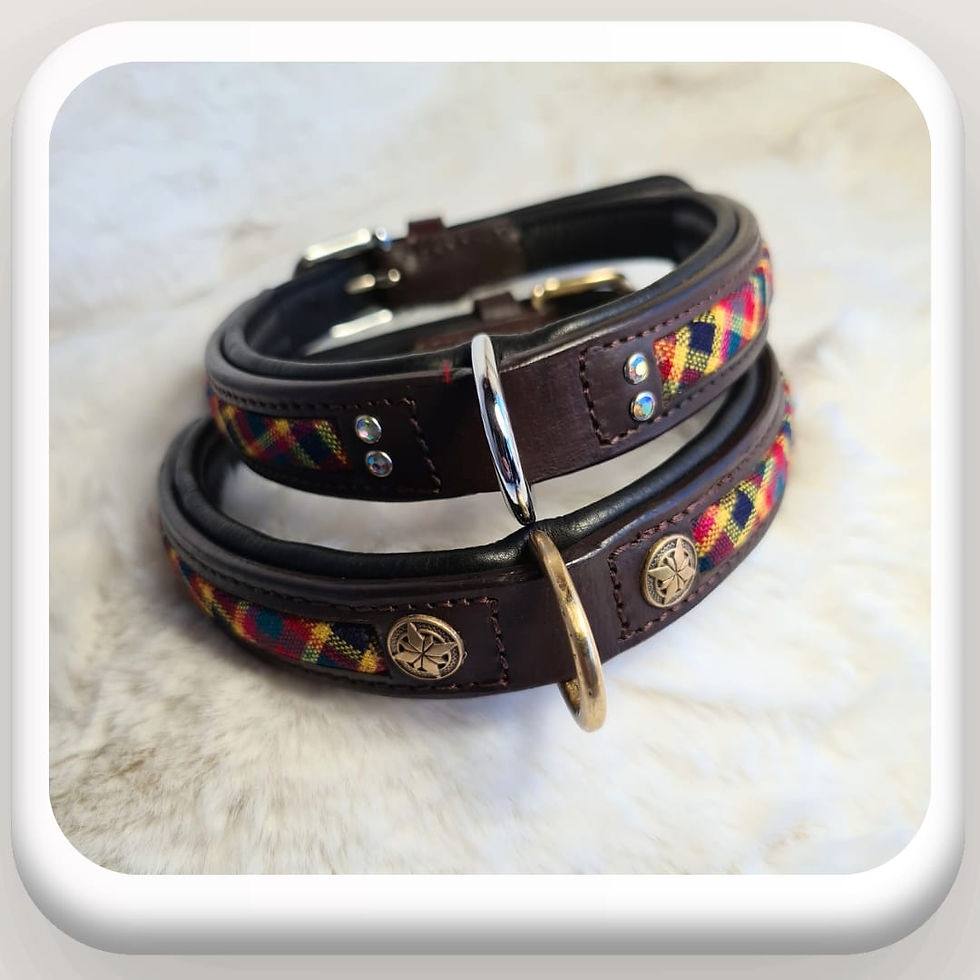 Thumbnail: artan leather dog collar, brown full grain leather, brass chrome fittings, UK