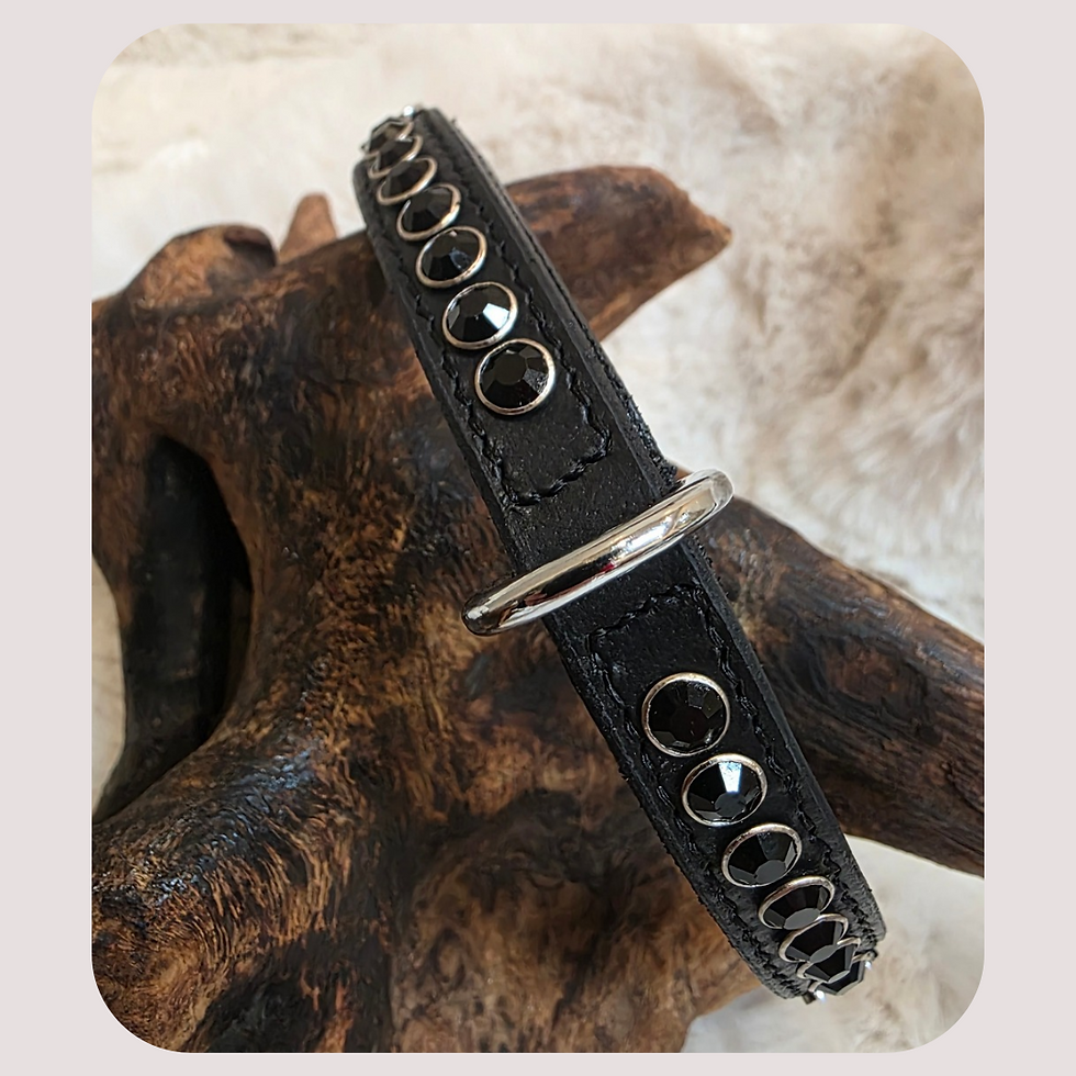 Thumbnail: Staffordshire Bull Terrier Show Collar and Lead Set – Premium Handcrafted Luxury