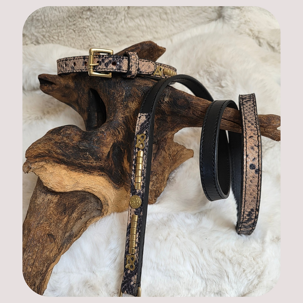Thumbnail: Limited Edition Snake Print Staffordshire Bull Terrier Collar & Lead Set 

