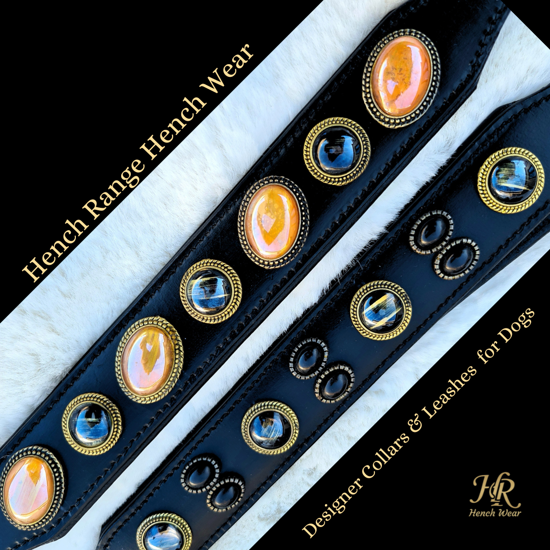 Black leather collar on dog, Hench Range, premium lead set for all dogs, free shipping in UK