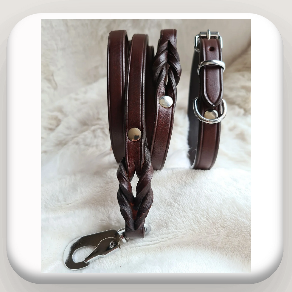 Thumbnail:  Braided Lead Set. Premium Leather Full Grain Brown 
