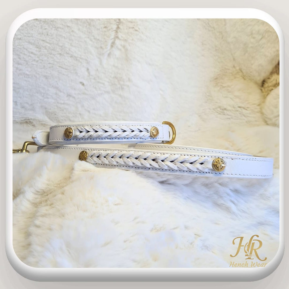 Thumbnail: White Braided Leather Collar & Lead Set Full Grain leather 
