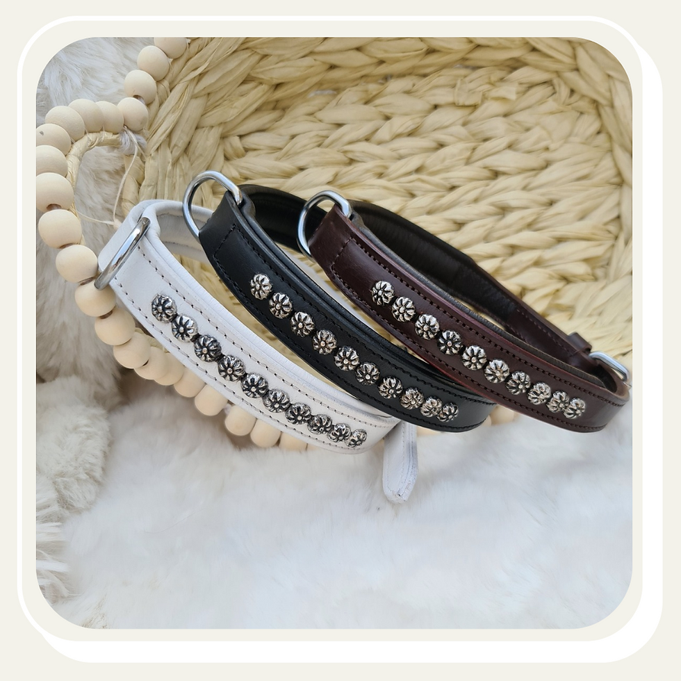 Thumbnail: British Bloom Leather Collar

