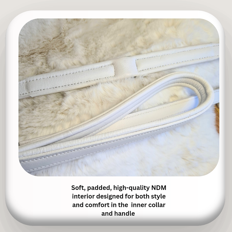 Thumbnail: 12.5 - 15.5 White Leather Collar leash Set S/M BREED 