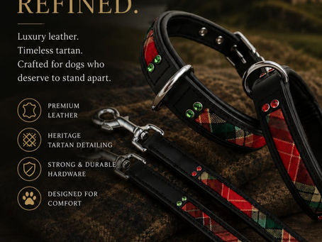 Limited Edition Black Leather & Red Scottish Tartan Staffordshire Bull Terrier Collar & Lead Set