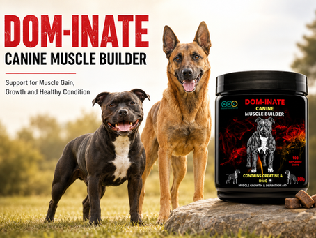 DOM-INATE Canine Muscle Builder: Support for Muscle Gain, Growth and Healthy Condition