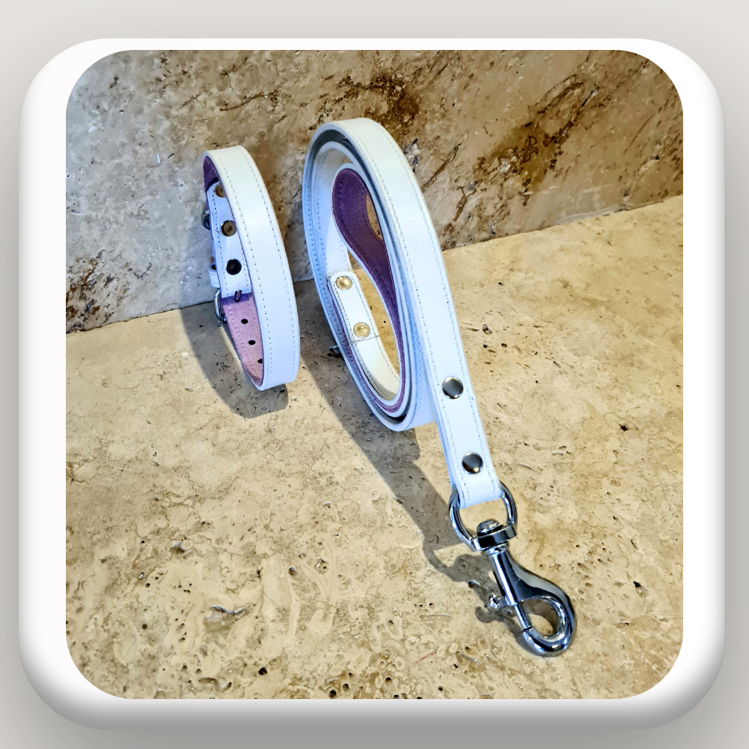 white collar and lead set uk free shipping, dog collar with matching lead