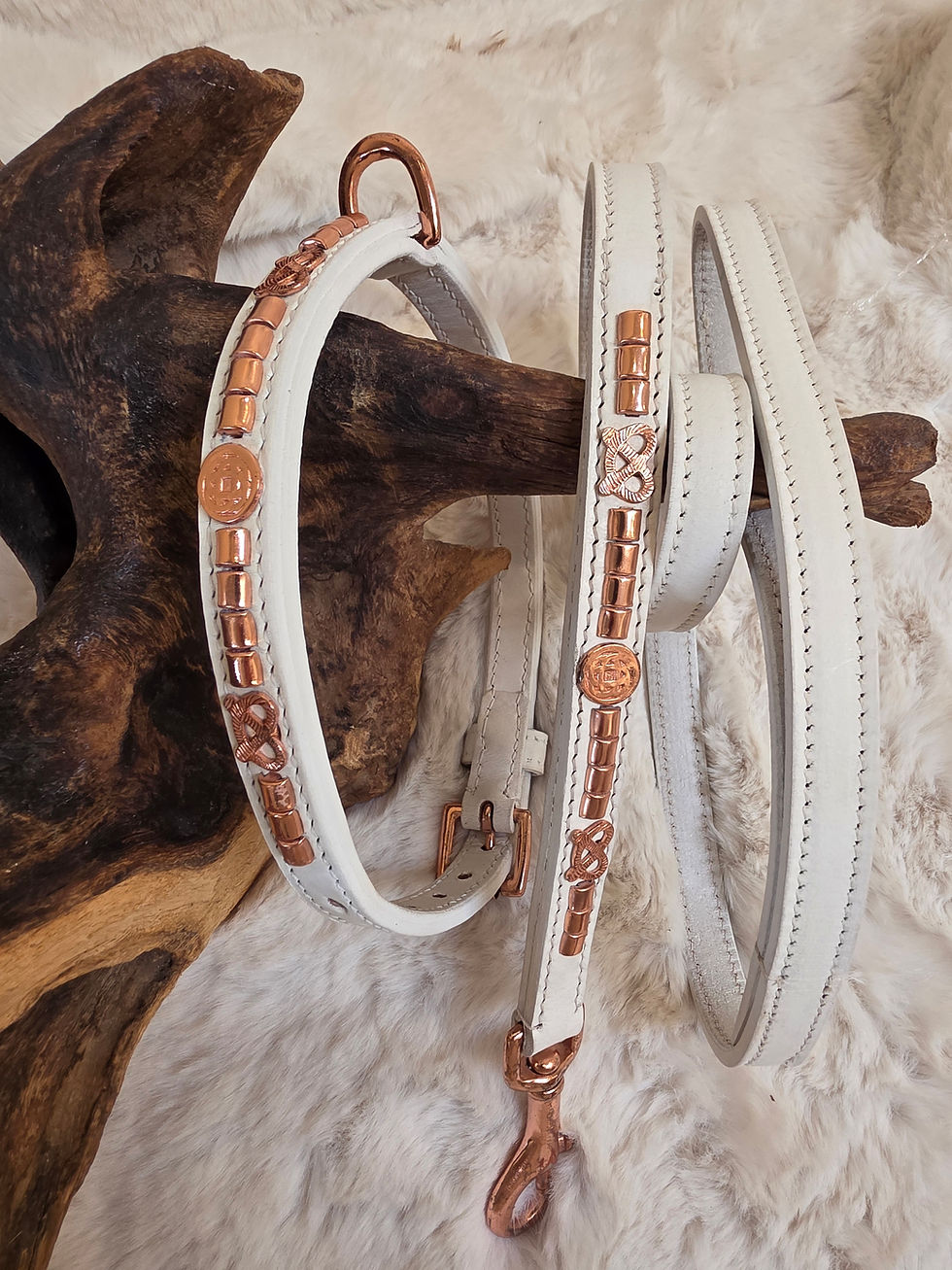 White Rose Gold Stafford Knot Staffy Show Collar & Lead Set limited Edition