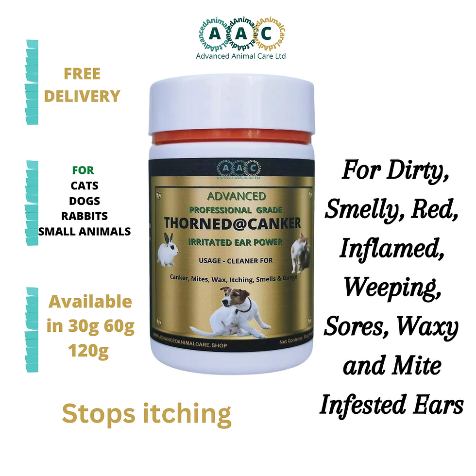 Thumbnail: Close-up of Thorned@Canker ear powder, treats pet ear mites, free shipping for UK pets