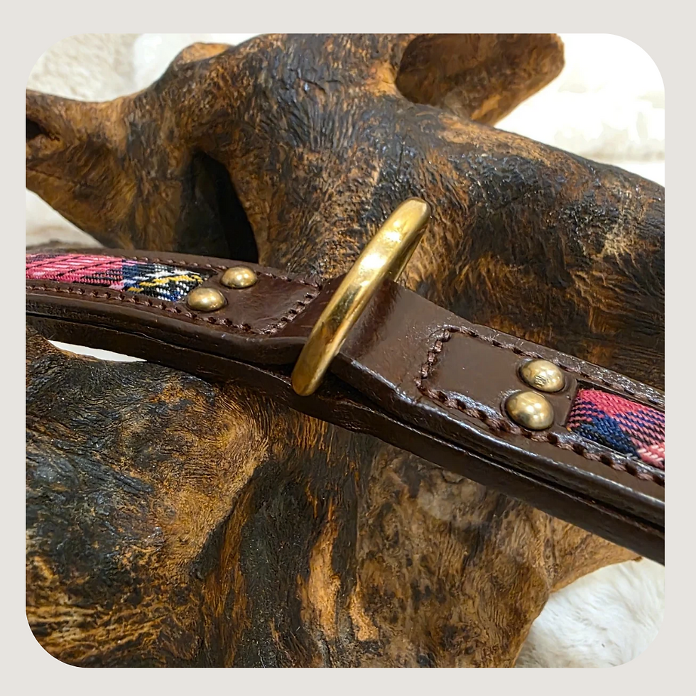 Thumbnail: Pink Tartan Elegance Leather Collar & Lead Set

14-17