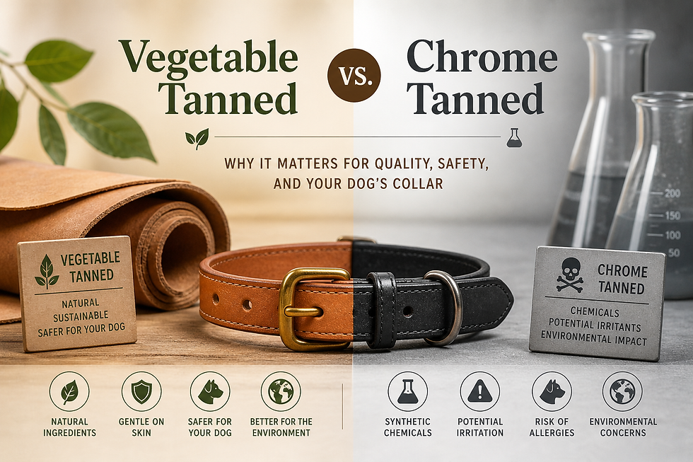 Vegetable Tanned vs. Chrome Tanned Leather: Why It Matters for Quality, Safety, and Your Dog’s Collar