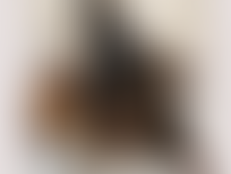 Unleash Legendary Style: Introducing the Celtic Sovereign Black Bull Collar & Lead Set – Premium Luxury for American Bully & Bull Breeds