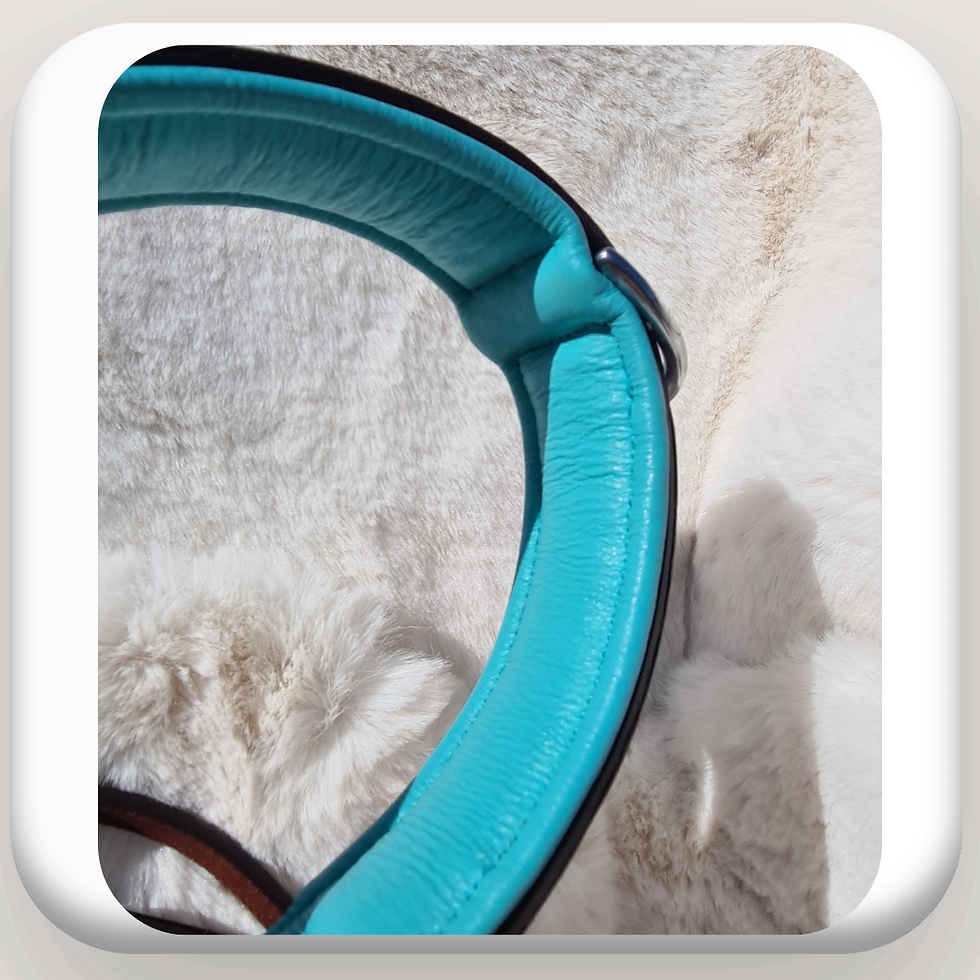 Thumbnail: Luxury Aqua  Tartan Harness Leather Collar & Lead Set

