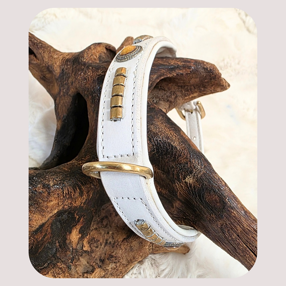 Thumbnail: Premium White Padded Full Grain Buffalo Leather Dog Collar and Leash Set 