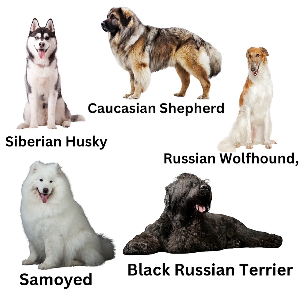 ree