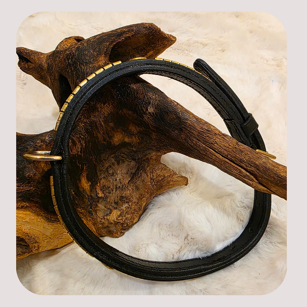 Thumbnail: Dog Collar Set Black Leather Concho Design 