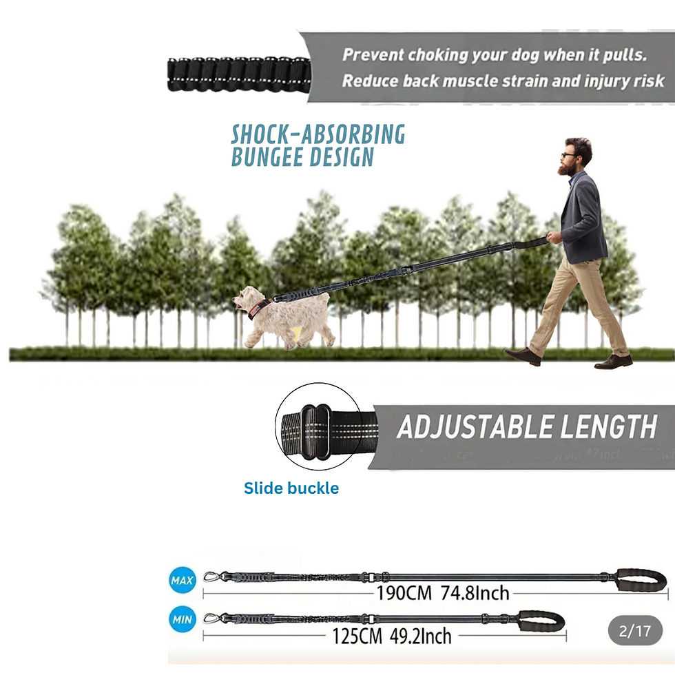 Thumbnail: tactical dog collar and lead set uk free shipping dog training