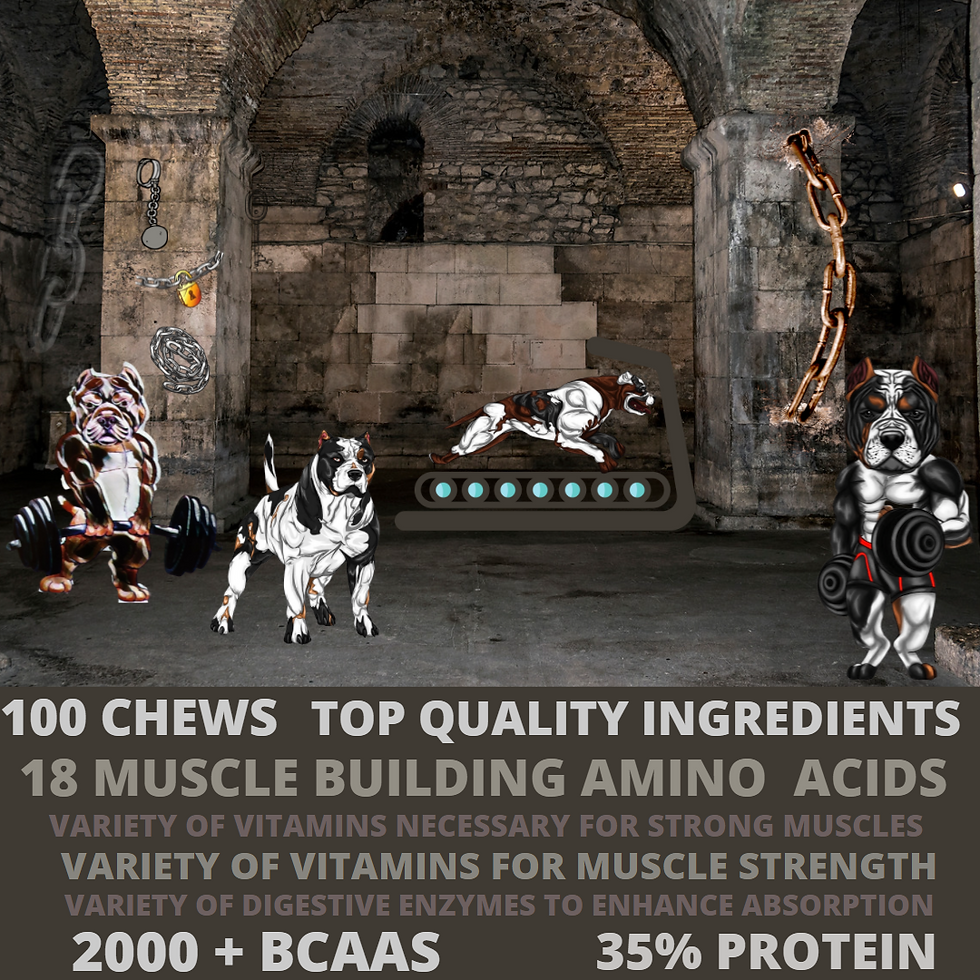 Thumbnail: Dog eating Hench Range Jacked bite chew, aids recovery, free shipping for UK pets