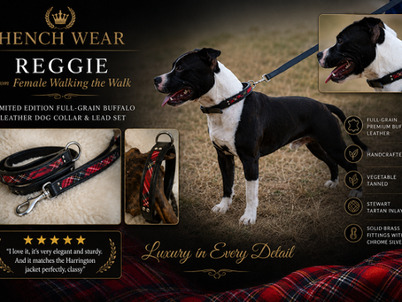 Limited Edition Full-Grain Buffalo Leather Dog Collar and Lead Set with Stewart Tartan Inlays
