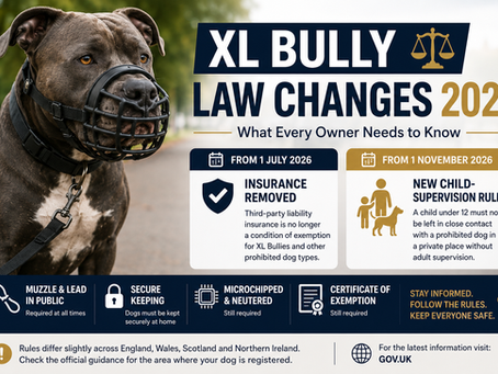 New XL Bully Law Changes in 2026: Insurance Removed and New Child-Supervision Rules Explained