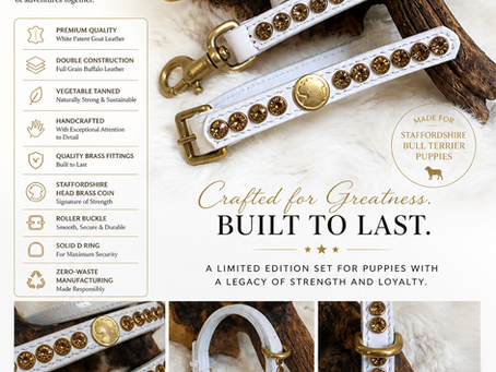 Why Your Staffordshire Bull Terrier Puppy Deserves a Premium Leather Collar & Lead Set
