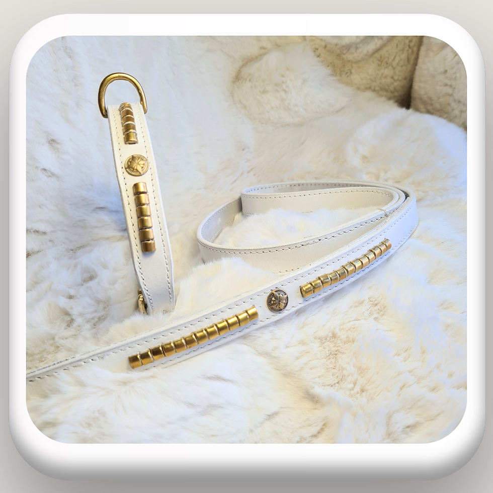 Thumbnail: White Gold  Collar & Lead Set Double Leather Full Grain