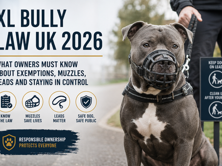 XL Bully Law UK 2026: What Owners Must Know — and How to Keep Their Dog Calm, Safe and Under Control