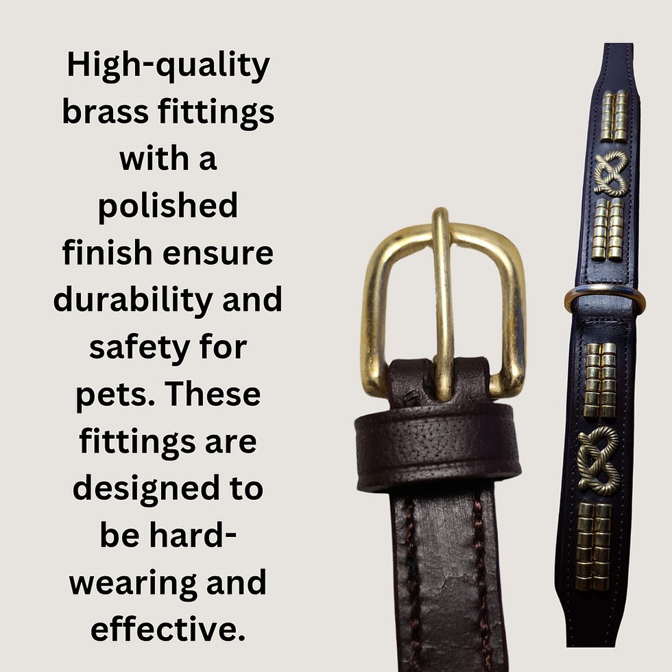 Thumbnail: Hench Range Premium Leather Collar for Staffordshire Bull Terriers 