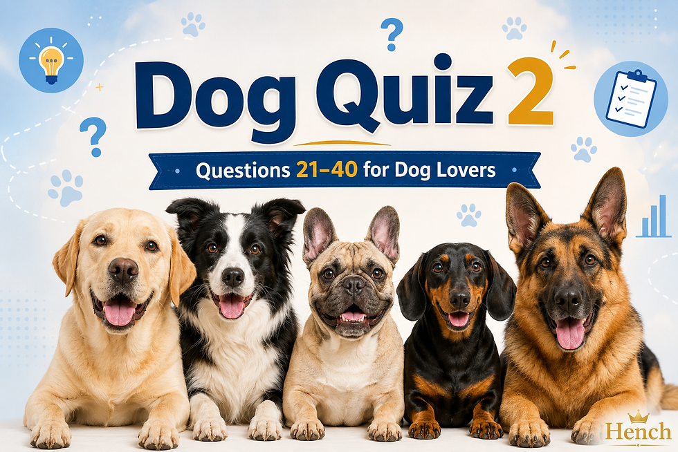 Dog Quiz 2: How Much More Do You Know About Dogs?