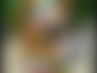 Wag-Worthy Wonders: Hilarious & Hidden Facts About Dogs You’ll Wish You Knew Sooner