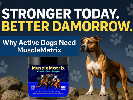 Stronger Today. Better Tomorrow: Why Active Dogs Need MuscleMatrix