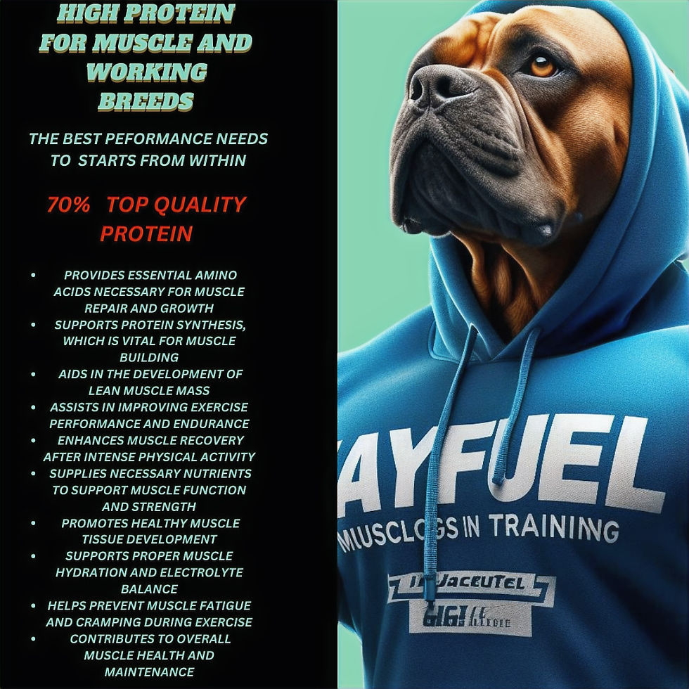 Thumbnail: Dog eating food with Hench Range Jayfuel, supports recovery, free shipping for UK pets